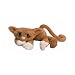 Iggy Brown Kitty cat