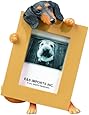 Dachshund (Black/Tan) 2.5" x 3.5" Picture Frame