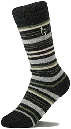 Shupaca Alpaca Wool Blend Striped Sock (Men sizes 7-9 | Women sizes 7-10.5, Moss Green)