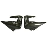 Bestem CBTR-STREET-RDSP Carbon Fiber Radiator Spoiler for Triumph by Bestem