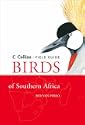 Birds of