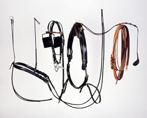 Silver Royal Fine Show Harness Mini