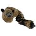 Rocky the Raccoon
