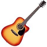 Encore Electro Acoustic Guitar