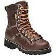 Men's Danner&reg; Quarry 8" Boots Brown