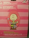 Peanuts Foam Character ~ Charlie BrownIMAGE