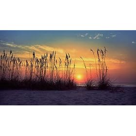 Fine Art Giclee Canvas Print - Sunset Sea Oats (Multi) (35H x 19W x 2D)