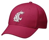 Nike Swoosh Flex Wsu Cougars Hat