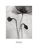 Dancing in Bubbles Beautiful MUSEUM WRAP CANVAS Print with Added BRUSHSTROKES Ryuijie 16x20