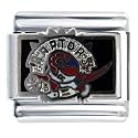 Nba Toronto Raptors Licensed Sports Italian Charms Bracelet Link