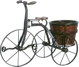 IRON TRICYCLE with ROUND BASKET
