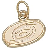 Anderson Jewelry Carolina Hurricanes 10k Gold Pendant