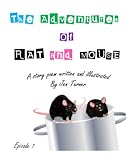 The Adventures of Rat and Mouse (Episode 1)