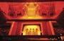 Street Glow AN10GR Neon Light Rods