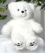 15" Furry White Bear Make Your Own *NO SEW* Stuffed Animal Kit w/T-shirt