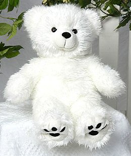41uYTqsPiJL Furry White Bear 15  Make Your Own *NO SEW* Stuffed Animal Kit
