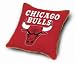 Chicago Bulls Decorative Throw Pillow