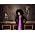 Thumbnail image of Macy Gray