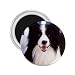 Border Collie Refrigerator Magnet