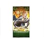 Magic the Gathering Morningtide Booster