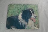Review The Moneyman  / Border Collie DOG Mouse Mat Pad New K9 Unique GIFT