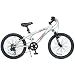 Sporting Goods : Performance Boy"s 20" Kid"s Mountain Bike