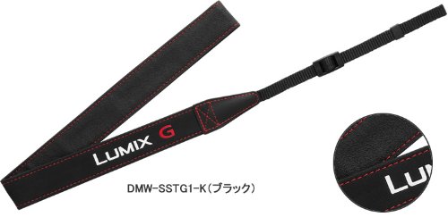 review Panasonic DMW-SSTG1-K