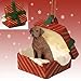 Conversation Concepts Chesapeake Bay Retriever Gift Box Red Ornament by Eyedeal Figurines