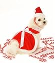 Dog Dress - Mrs. Claus Santa Girl Harness Dog Christmas Dress w/ Matching Hat & Leash - Medium