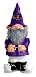 East Carolina University Garden Gnome