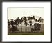 Langkawi, Malaysia Collections Framed Art Poster Print by Neil Emmerson, 22x18