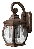 Forum French Bronze Outdoor Wall Light (Dark Sky & Energy Saving Solutions) Hinkle