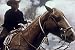 Historic Rancher & Farmer Documentary: American Cowboy (1950)