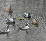 Mega Shaker Duck Shaker for Decoys by Cherokee Sports
