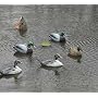Mega Shaker Duck Shaker for Decoys
