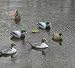 Mega Shaker Duck Shaker for Decoys