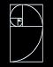 Photographic Print of Fibonacci spiral, artwork from Science Photo Library