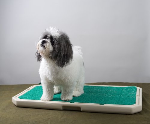 piddle place indoor dog toilet