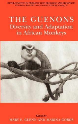 The Guenons: Diversity and Adaptation in African Monkeys (Developments in Primatology: Progress and Prospects) On Sale