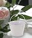 White Pail Favor (Set of 120) - Wedding Party Favors