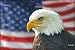 American Bald Eagle Flag' Wall Decal - 18