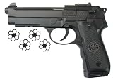 Beeman 2009 CO2 Pistol with Pellet Trap air pistol