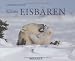  : Kleine Eisb&auml;ren