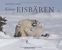 Kleine Eisb�ren