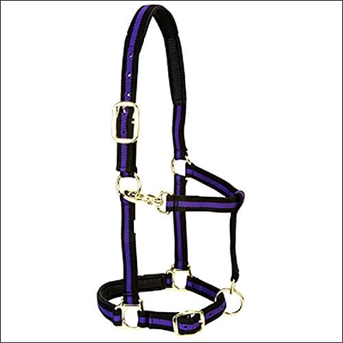 WEAVER PURPLE PADDED ADJUSTABLE CHIN AND THROAT SNAP HALTER AVERAGE HORSE