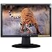 PC Hardware : Envision G2016WA2 20-inch Monitor