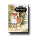 Shiba Inu A House Is Not A Home Fridge Magnet No 1