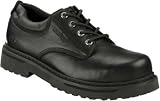 Skechers Men's Lappland Eiger Work Shoes