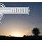 Best of 2008  chiefly Americana,Roots Rock,Country Rock,by Japanese