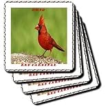 State Bird Of Ohio Red Cardinal - Set Of 4 Ceramic Tile Coasters